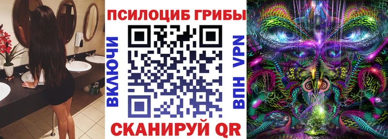 сайты даркнета состав  Звенигород  Галлюциногенные грибы Psilocybine cubensis 