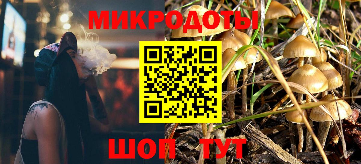 Галлюциногенные грибы Psilocybine cubensis Звенигород