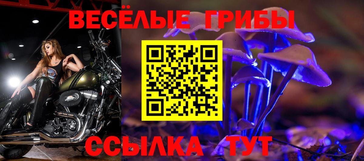 Гашиш  APVP СК кристаллы  КОКАИН  MDMA  Бошки Шишки  Вход с VPN  Звенигород  МЕФ  