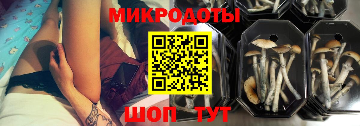 Звенигород  Псилоцибиновые грибы ЛСД  Вход с VPN 